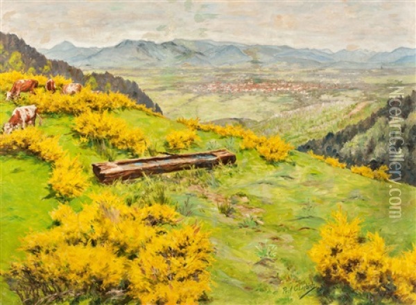 View Over Meadows With Flowering Brooms, In The Background View Of A City, Probably Furtwangen Oil Painting - Curt Liebich