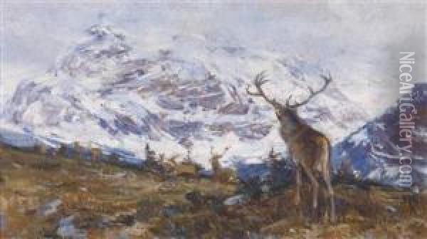 Herd Of Red Deer In The High Mountains Oil Painting - Rudolf Schramm-Zittau