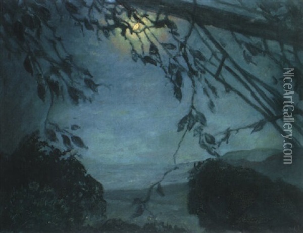 Nachtliche Landschaft Oil Painting - Emil Orlik