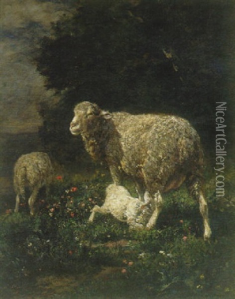Les Moutons Oil Painting - Charles Emile Jacque