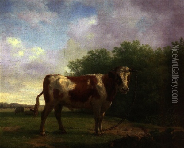 Stier In Besonnter Weidelandschaft Mit Weitem Blick In Das Land Oil Painting - Jan Kobell the Younger