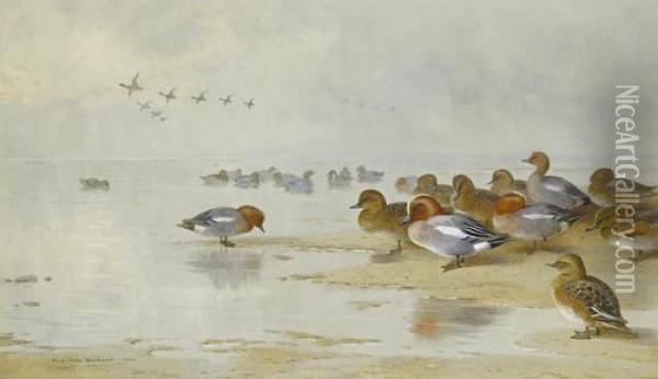 Wigeon And Teal By The Water's Edge Oil Painting - Archibald Thorburn