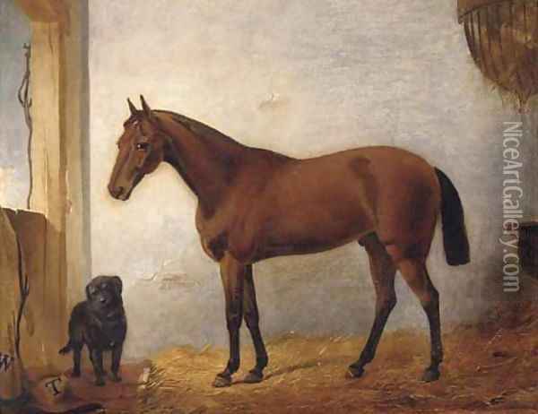 A chestnut hunter with a black labrador in a stable Oil Painting - John Frederick Jnr Herring