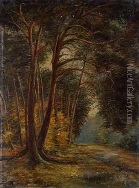 Am Pflanzengarten Im Schwanheimer Wald Oil Painting - Johann Daniel Bode