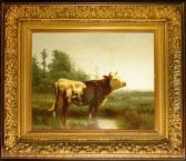 Cattle Watering At A Stream Oil Painting - Emile van Marcke de Lummen