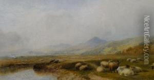 Sheep In A Valley, North Wales Oil Painting - Cornelius Pearson