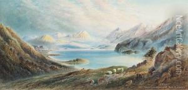 Te Anau Oil Painting - William Henry Raworth