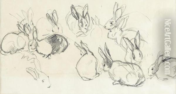 Rabbit Study Oil Painting - Joseph Ii Crawhall