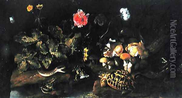 Still Life with a Snake, Frogs, Tortoise and Lizard Oil Painting - Paolo Porpora