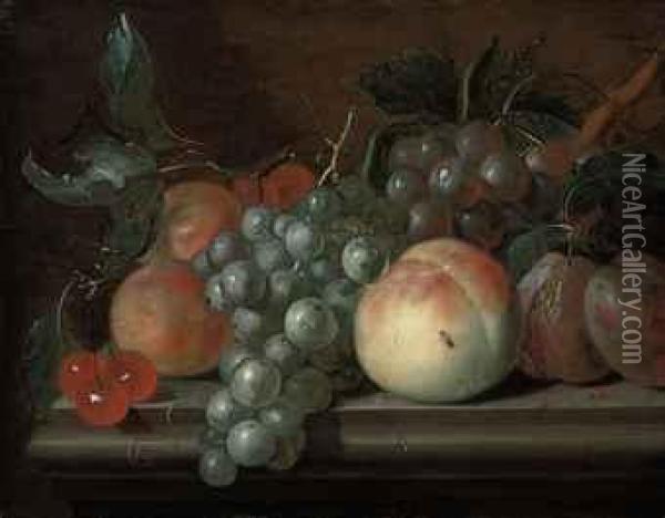 Cherries, Grapes, Plums, Apricots And A Peach On A Stone Ledge Oil Painting - Cornelis Johannes De Bruyn