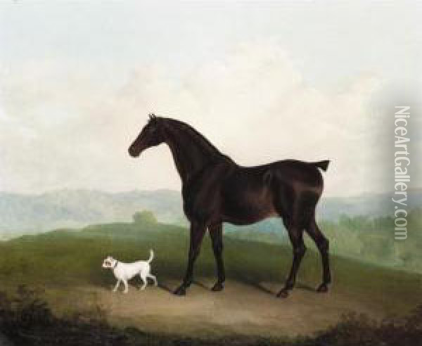 A Chestnut Hunter With A Dog In A Landscape Oil Painting - Charles Hancock