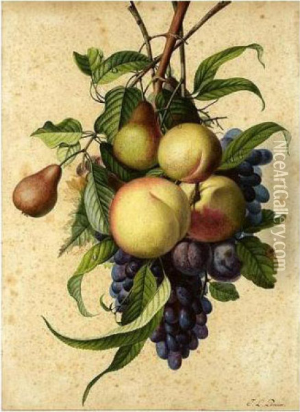 Still Life With Peaches, Pears, Plums And Grapes Oil Painting - Jean Louis, Le Jeune Prevost