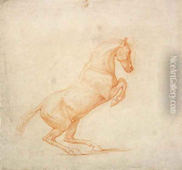 A Prancing Horse, facing right, 1790 Oil Painting - George Stubbs