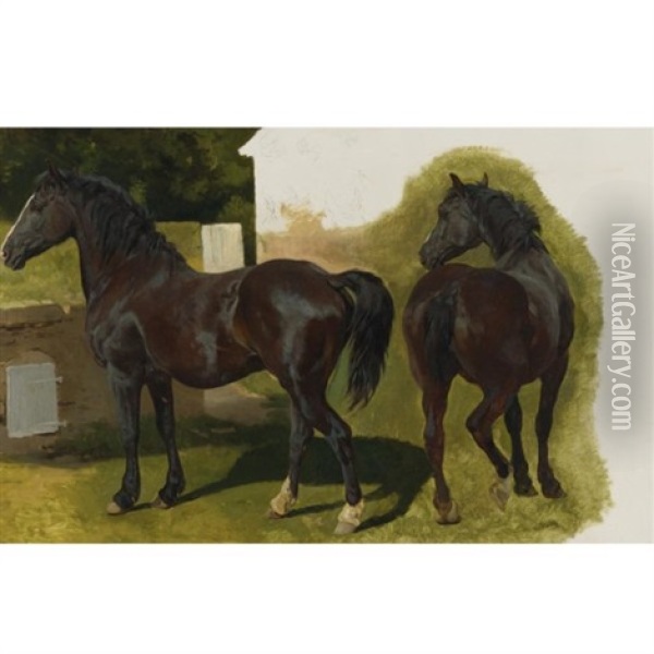 Welsh Cobb (study) Oil Painting - Henry William Banks Davis