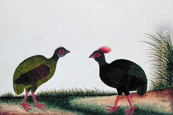The Hen and the Cock, Sie-ole, from 'Drawings of Birds from Malacca', c.1805-18 Oil Painting - Anonymous Artist