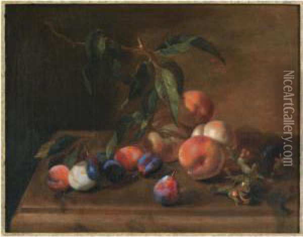 A Still Life With Peaches, Plums And Hazelnuts On A Wooden Table Oil Painting - Jacques Charles Oudry