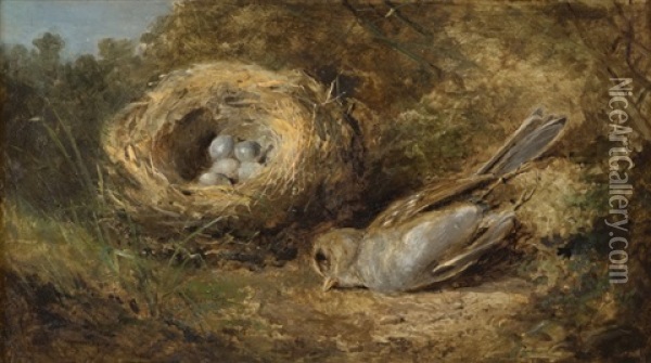Bird By Its Nest Oil Painting - Juan Buckingham Wandesforde