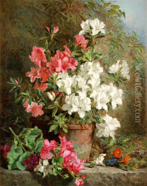 Azaleas Oil Painting - Martha Darley Mutrie