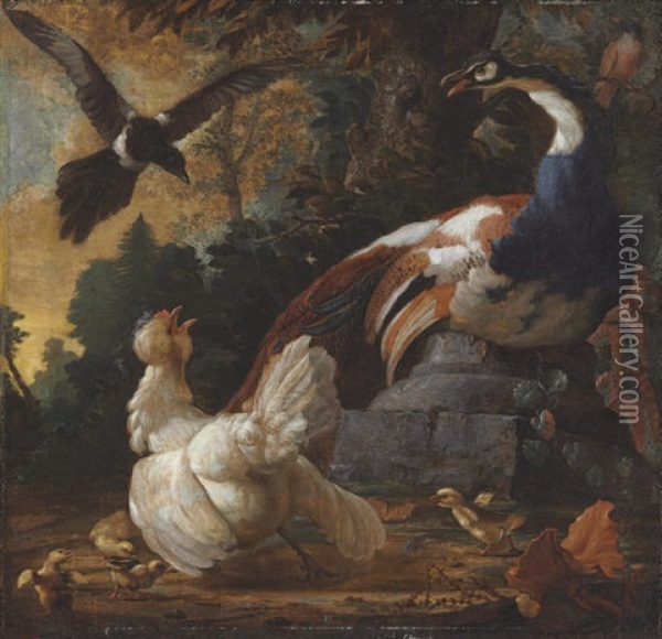 A Peacock, Poultry And A Magpie In A Landscape Oil Painting - Abraham Bisschop