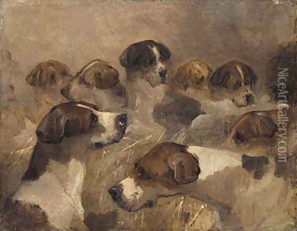 Study of a Group of Foxhounds Oil Painting - Richard Barrett Davis