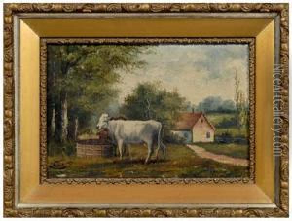 Cows In Barnyard Oil Painting - Albert Paul Willis