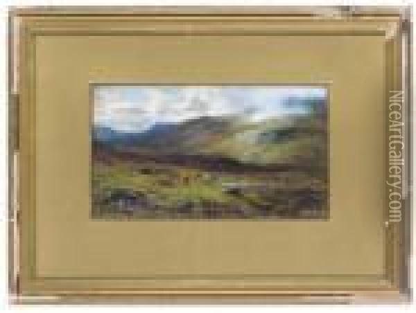 A Sketch On The Moorland, Killin, Perthshire, Scotland Oil Painting - Louis Bosworth Hurt