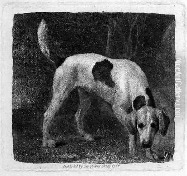 Dog A Foxhound on the Scent engraved by the artist, pub. 1788 Oil Painting - George Stubbs