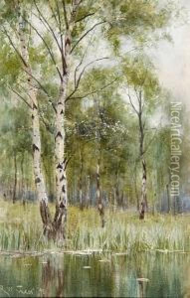 Silver Birch Trees Oil Painting - Robert Winter Fraser