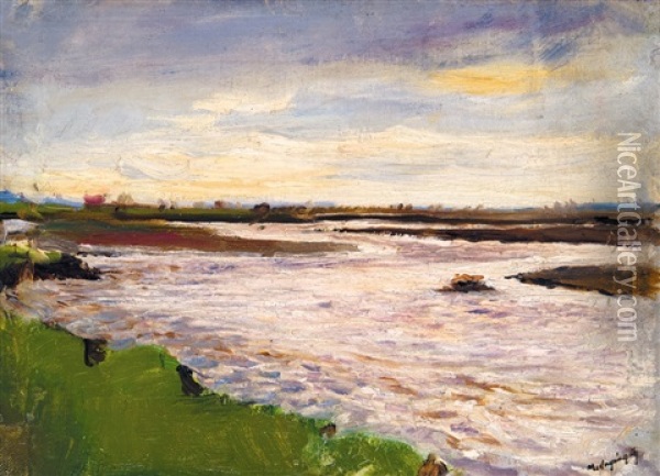 River Vag Oil Painting - Laszlo Mednyanszky