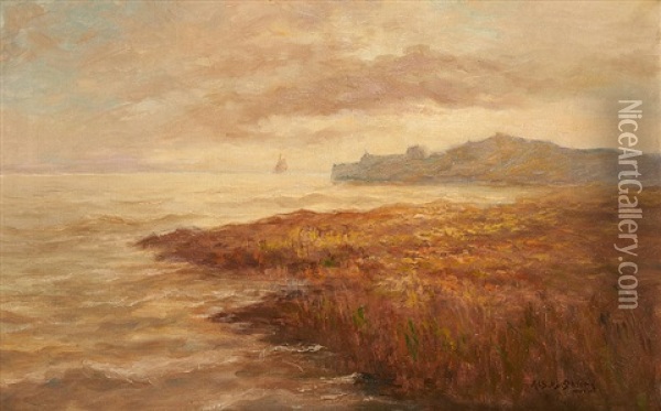 Le Cap Oil Painting - Albert Isidore de Vos