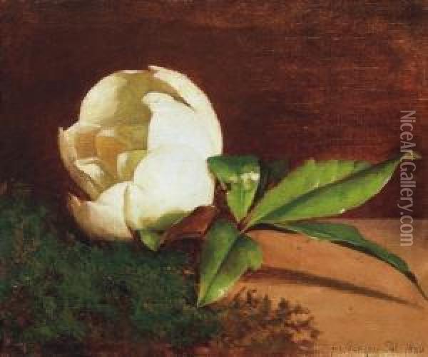 White Magnolia Oil Painting - Paul Von Szinyei-Merse