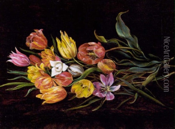 Buket Af Brogede Tulipaner Pa En Karm Oil Painting - Christian August Printz