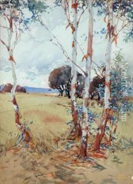 Saplings Oil Painting - Harold Brocklebank Herbert