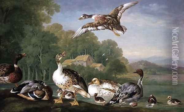 Wild Fowl Oil Painting - Pieter Casteels