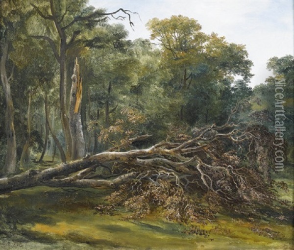 Sommerliche Waldlichtung Mit Einem Umgesturzten Baum Oil Painting - Francois Diday