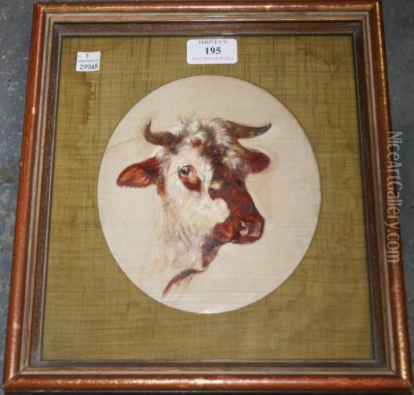 Oval Study Of A Cow's Head Oil Painting - Rosa Bonheur