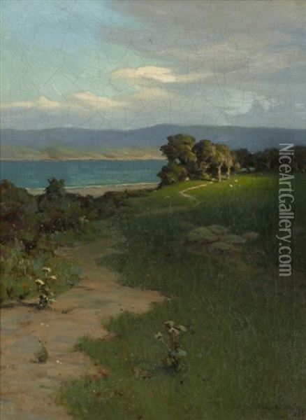 Path In A Landscape With Distant Lake Oil Painting - Willis E. Davis