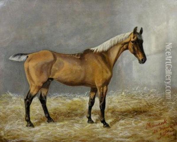 Portrait Of The Race Horse Shamrock Oil Painting - J.W. Blow