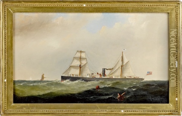 American Steamship Oil Painting - Alexander Charles Stuart