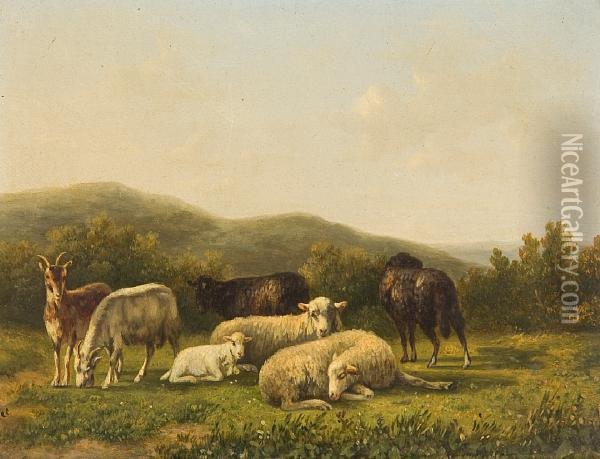 Sheep And Goats In An Upland Landscape Atdusk Oil Painting - Anthony De Bree