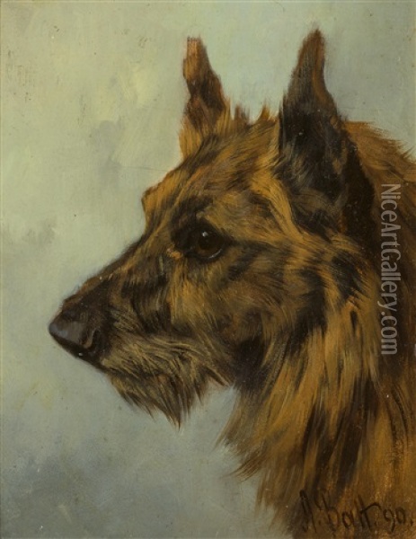 Scottish Terrier Head Study Oil Painting - Arthur Batt