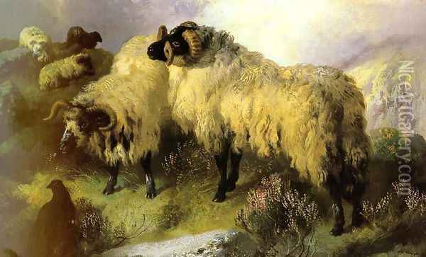 Highland Scene with Sheep and Grouse Oil Painting - George W. Horlor