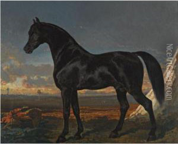 Cheval Noir Au Palmier Oil Painting - Alfred De Dreux