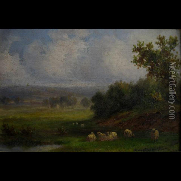 Sheep At Rest Oil Painting - Evelyn Gladys Vickers