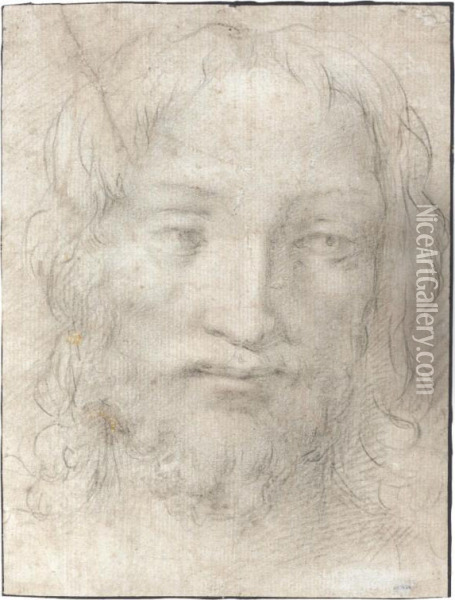 The Head Of Christ Oil Painting - Agnolo Bronzino