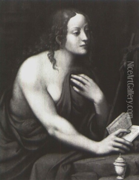 Saint Mary Magdalen Oil Painting -  Giampietrino