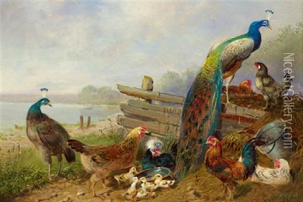 Federvieh Am Seeufer Oil Painting - Carl Jutz the Elder