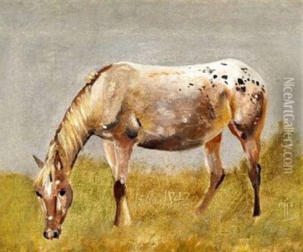 Studie Af En Knabstrupper-hest Oil Painting - Johan Thomas Lundbye