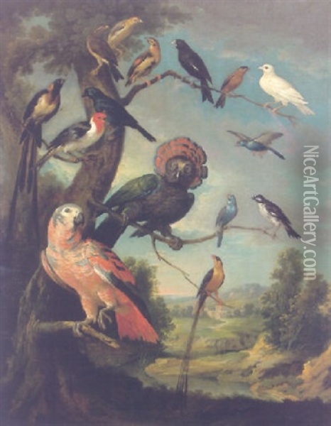 Oiseaux Perches Sur Un Arbre Dans Un Paysage Vallonne Oil Painting - Christophe Huet