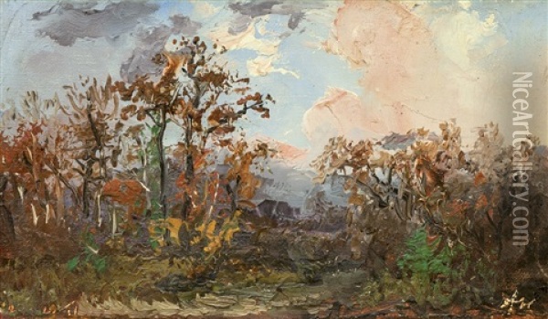 Krajina Na Podzim Oil Painting - Anton Waldhauser
